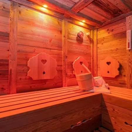 Hébergement de vacances Falkensteinalm Friends 1+2 *